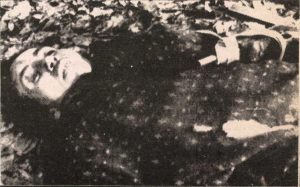 Kamile Öztürk