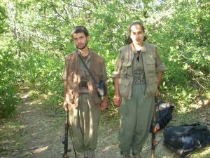 sefkan-çiğdem