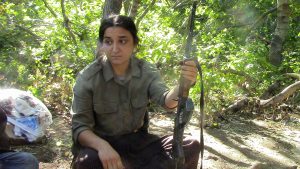 gül kaya